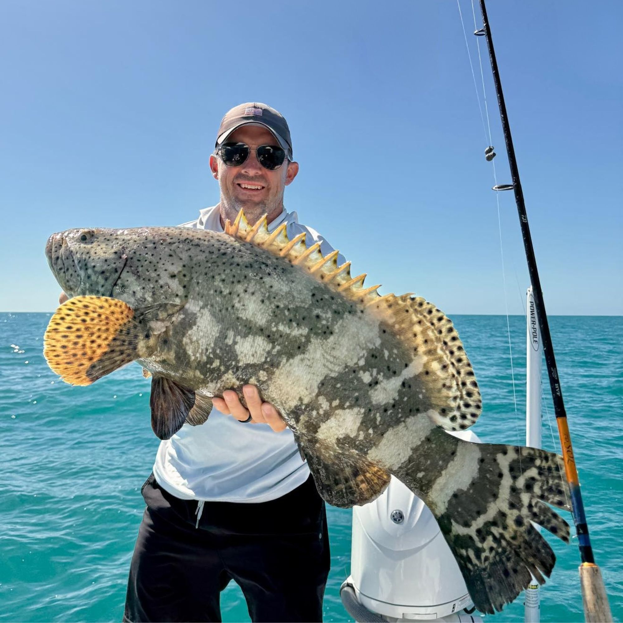 Untitled design - 2025-11-14T143904.037