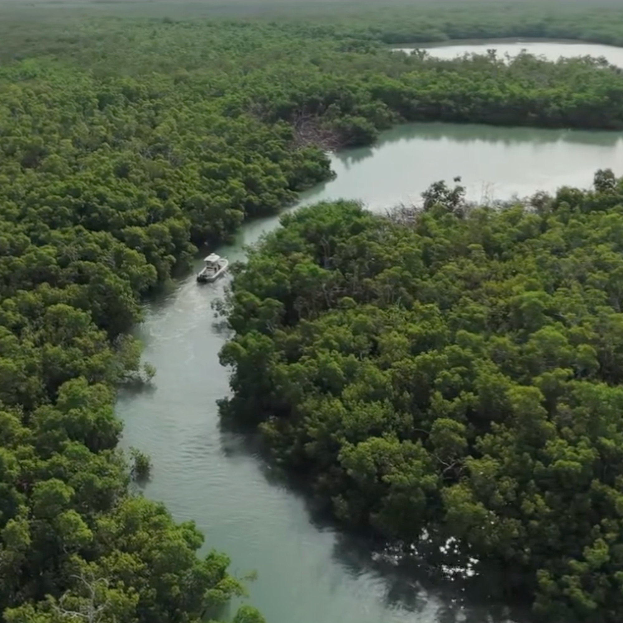 Untitled design - 2025-11-18T142100.134